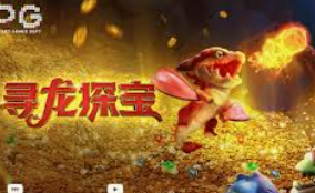 鲸鱼体育最新版