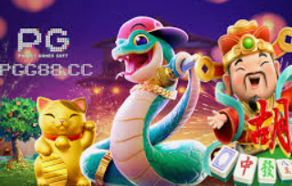 鲸鱼体育免费版