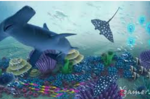 鲸鱼体育客户端