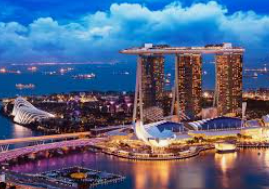 鲸鱼体育正式版